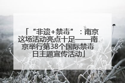 “非遗+禁毒”：南京这场活动亮点十足——南京举行第38个国际禁毒日主题宣传活动