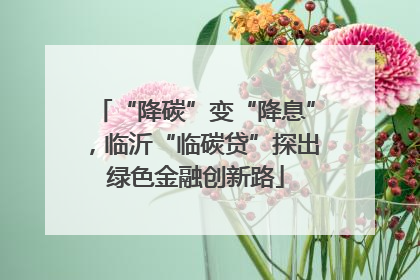 “降碳”变“降息”，临沂“临碳贷”探出绿色金融创新路