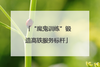 “魔鬼训练”锻造高铁服务标杆