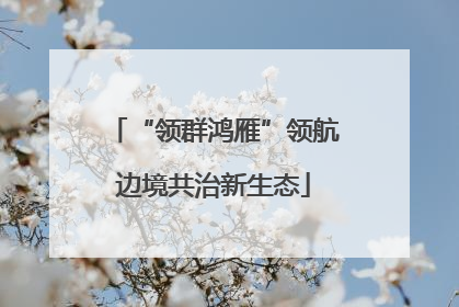 “领群鸿雁”领航边境共治新生态