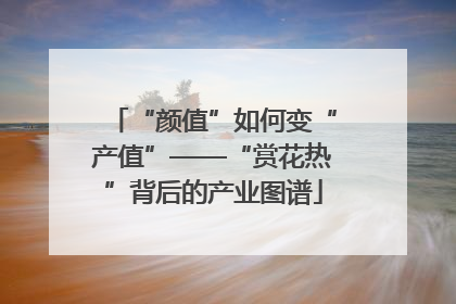 “颜值”如何变“产值”——“赏花热”背后的产业图谱