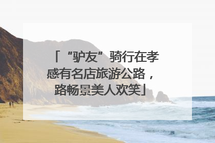 “驴友”骑行在孝感有名店旅游公路，路畅景美人欢笑