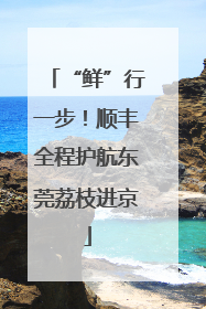 “鲜”行一步！顺丰全程护航东莞荔枝进京