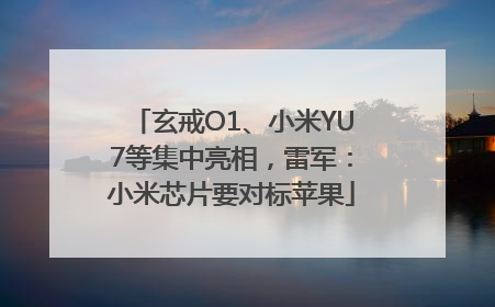 玄戒O1、小米YU7等集中亮相，雷军：小米芯片要对标苹果