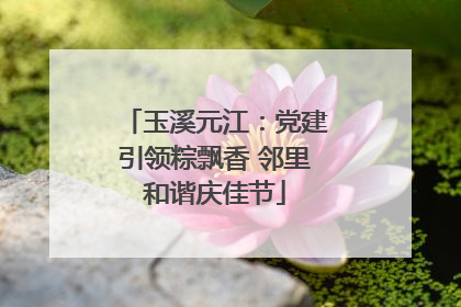 玉溪元江：党建引领粽飘香 邻里和谐庆佳节
