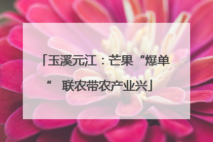 玉溪元江：芒果“爆单” 联农带农产业兴