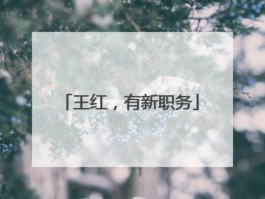 王红，有新职务