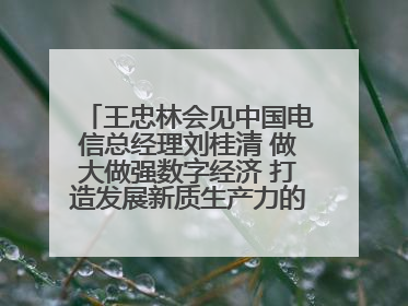 王忠林会见中国电信总经理刘桂清 做大做强数字经济 打造发展新质生产力的强劲引擎