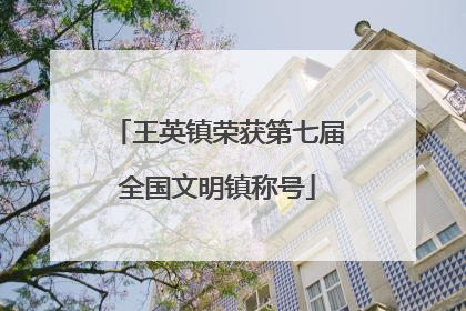 王英镇荣获第七届全国文明镇称号