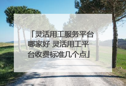 灵活用工服务平台哪家好 灵活用工平台收费标准几个点