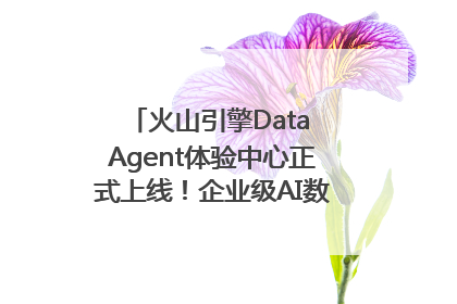 火山引擎Data Agent体验中心正式上线！企业级AI数据专家触手可及
