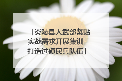 炎陵县人武部紧贴实战需求开展集训 打造过硬民兵队伍