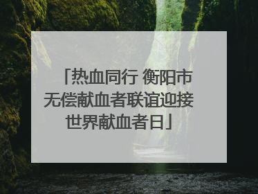热血同行 衡阳市无偿献血者联谊迎接世界献血者日