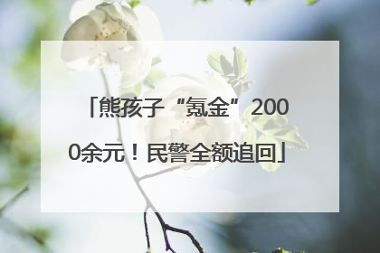 熊孩子“氪金”2000余元！民警全额追回