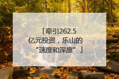 牵引262.5亿元投资，乐山的“速度和深度”
