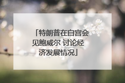 特朗普在白宫会见鲍威尔 讨论经济发展情况