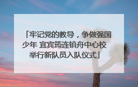 牢记党的教导，争做强国少年 宜宾筠连镇舟中心校举行新队员入队仪式