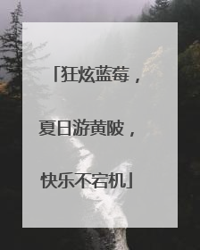 狂炫蓝莓，夏日游黄陂，快乐不宕机