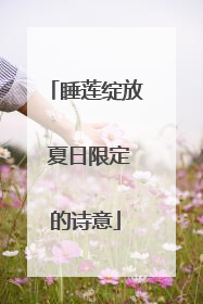 睡莲绽放 夏日限定的诗意