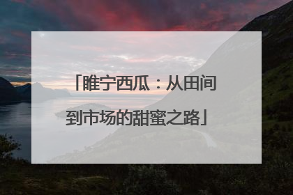 睢宁西瓜：从田间到市场的甜蜜之路
