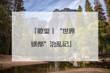 瞭望丨“世界镁都”治乱记