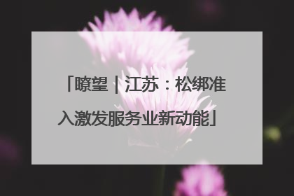 瞭望｜江苏：松绑准入激发服务业新动能