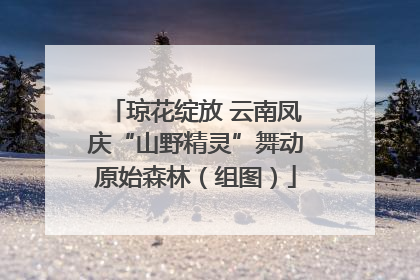 琼花绽放 云南凤庆“山野精灵”舞动原始森林（组图）