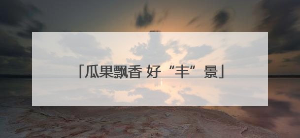 瓜果飘香 好“丰”景