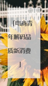 电商青年解码品质新消费