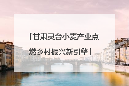 甘肃灵台小麦产业点燃乡村振兴新引擎