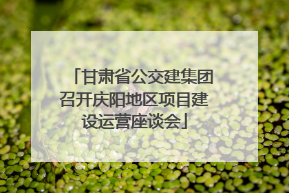 甘肃省公交建集团召开庆阳地区项目建设运营座谈会