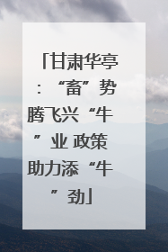 甘肃华亭：“畜”势腾飞兴“牛”业 政策助力添“牛”劲