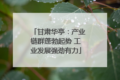 甘肃华亭：产业链群蓬勃起势 工业发展强劲有力