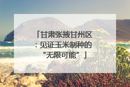 甘肃张掖甘州区：见证玉米制种的“无限可能”