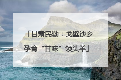 甘肃民勤：戈壁沙乡孕育“甘味”领头羊