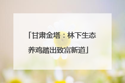 甘肃金塔：林下生态养鸡踏出致富新道