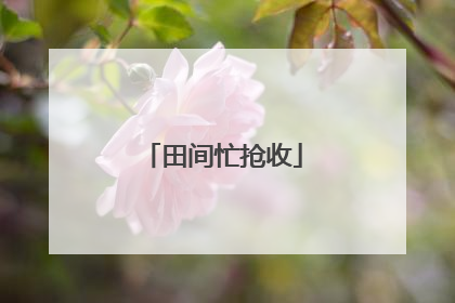 田间忙抢收