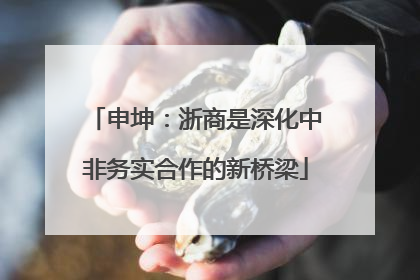 申坤：浙商是深化中非务实合作的新桥梁