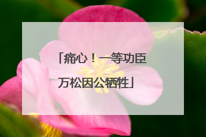 痛心！一等功臣万松因公牺牲