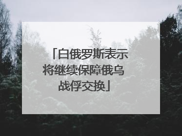 白俄罗斯表示将继续保障俄乌战俘交换