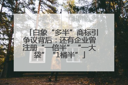 白象“多半”商标引争议背后：还有企业曾注册“一倍半”“一大袋”“1桶半”