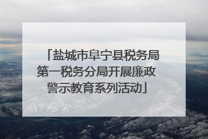 盐城市阜宁县税务局第一税务分局开展廉政警示教育系列活动