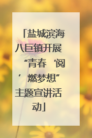 盐城滨海八巨镇开展“青春‘阅’燃梦想”主题宣讲活动