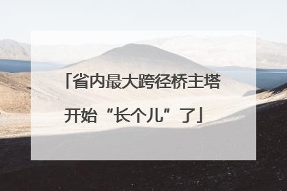 省内最大跨径桥主塔开始“长个儿”了