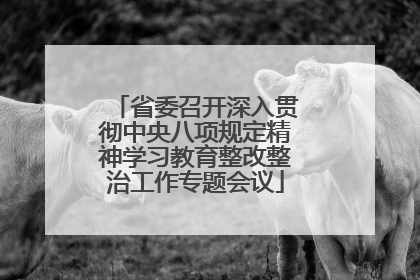 省委召开深入贯彻中央八项规定精神学习教育整改整治工作专题会议