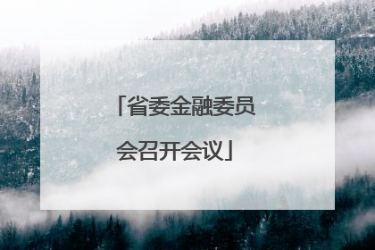省委金融委员会召开会议