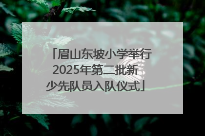 眉山东坡小学举行2025年第二批新少先队员入队仪式