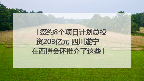 签约8个项目计划总投资203亿元 四川遂宁在西博会还推介了这些