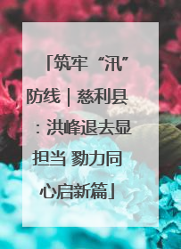 筑牢“汛”防线｜慈利县：洪峰退去显担当 勠力同心启新篇