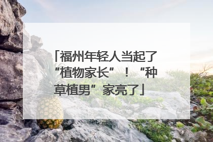 福州年轻人当起了“植物家长”！“种草植男”家亮了